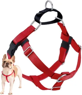 2 Hounds Design Freedom No Pull Dog Harness, Adjustable Harness, Easy Walking & Comfortable Control, Fits Small, Medium & Large Dogs, Solid Colors, Made in USA, 1" MD, Red