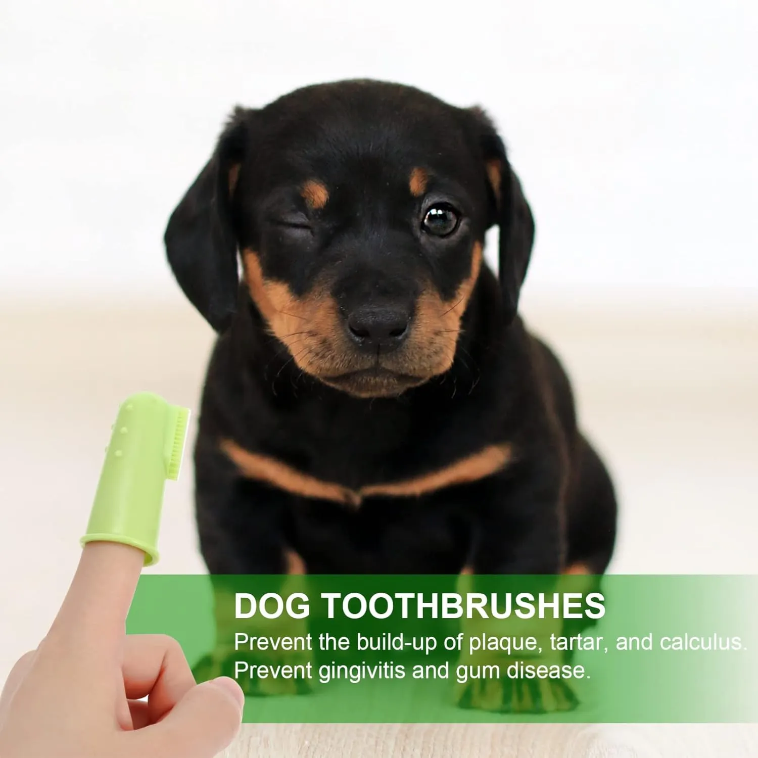 2 Sets Pet Supplies Double Head Dog Toothbrush Comfort Grip Dentist Recommended for Dogs