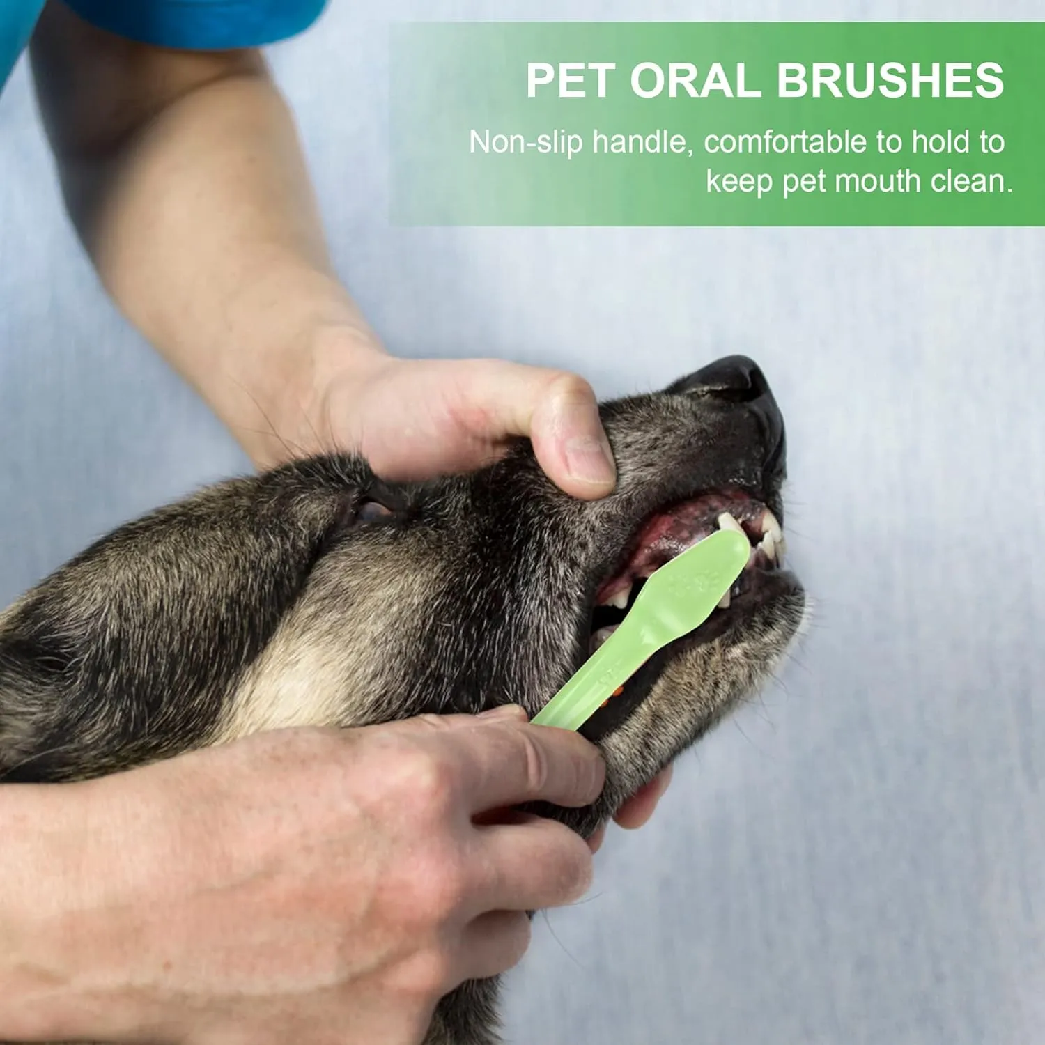 2 Sets Pet Supplies Double Head Dog Toothbrush Comfort Grip Dentist Recommended for Dogs