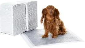 Amazon Basics Dog and Puppy Pee Pads with 5-Layer Leak-Proof Design and Super Absorbent Surface for Potty Training, Odor-Control Carbon, Regular Size, 22 x 22 Inch - Pack of 120, Gray