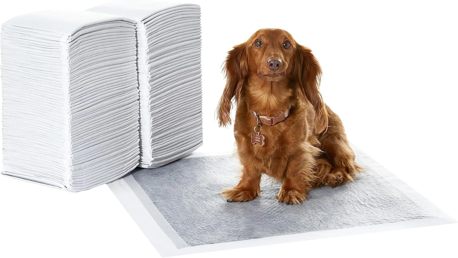 Amazon Basics Dog and Puppy Pee Pads with 5-Layer Leak-Proof Design and Super Absorbent Surface for Potty Training, Odor-Control Carbon, Regular Size, 22 x 22 Inch - Pack of 120, Gray