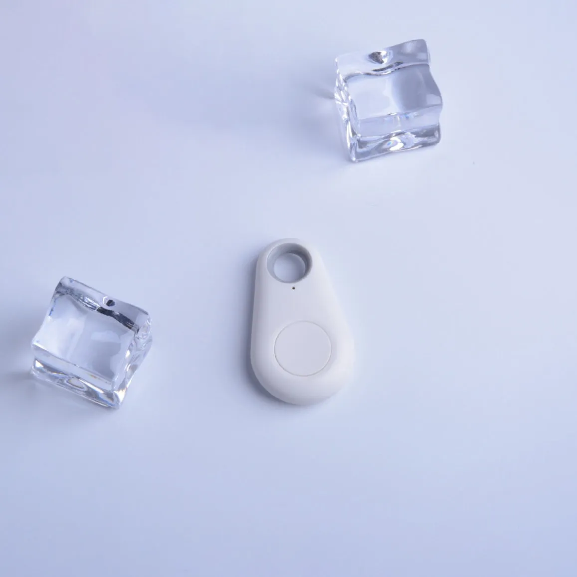 Animal Paw GPS Device