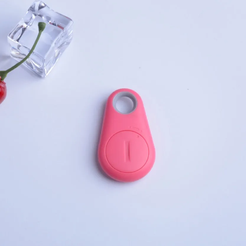 Animal Paw GPS Device