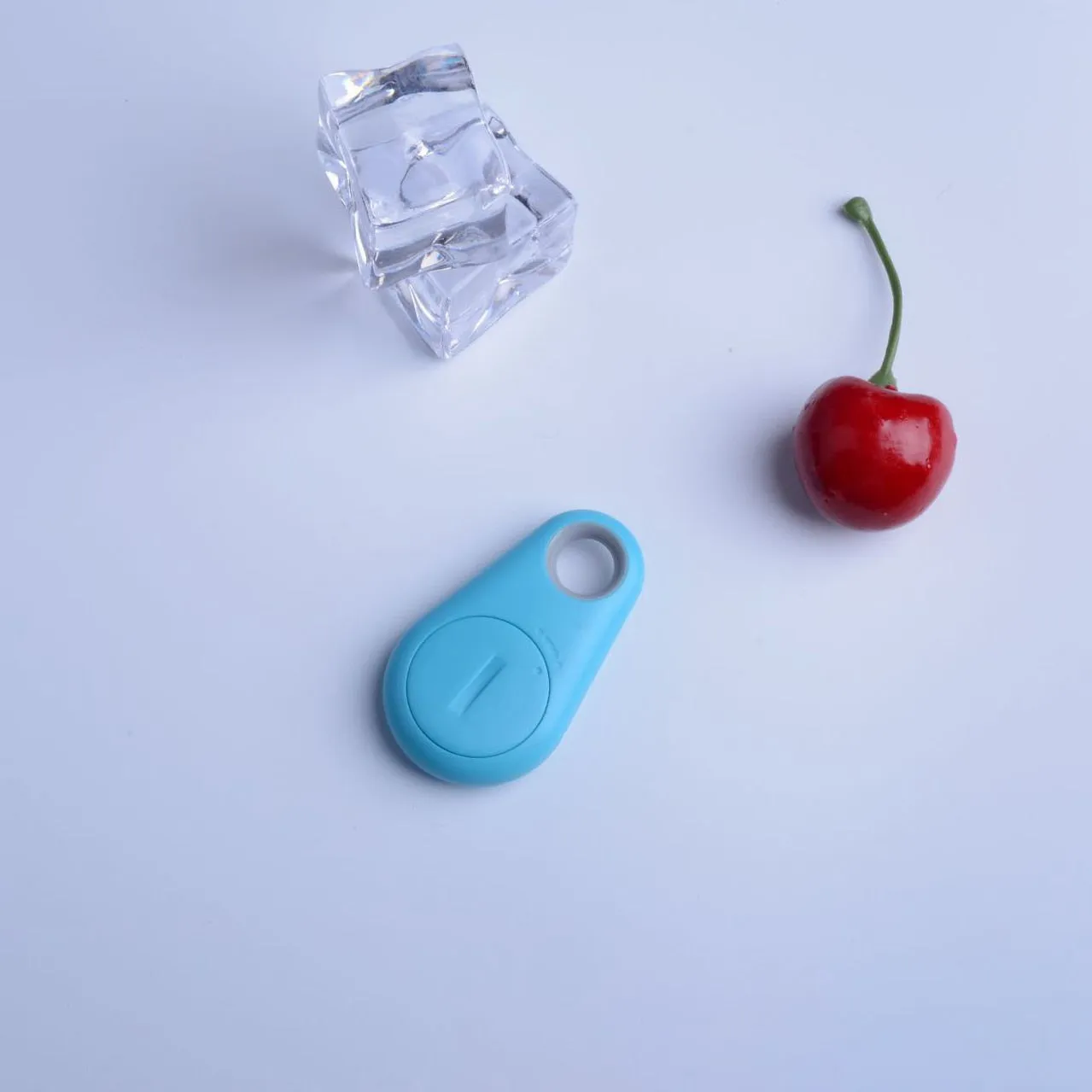 Animal Paw GPS Device