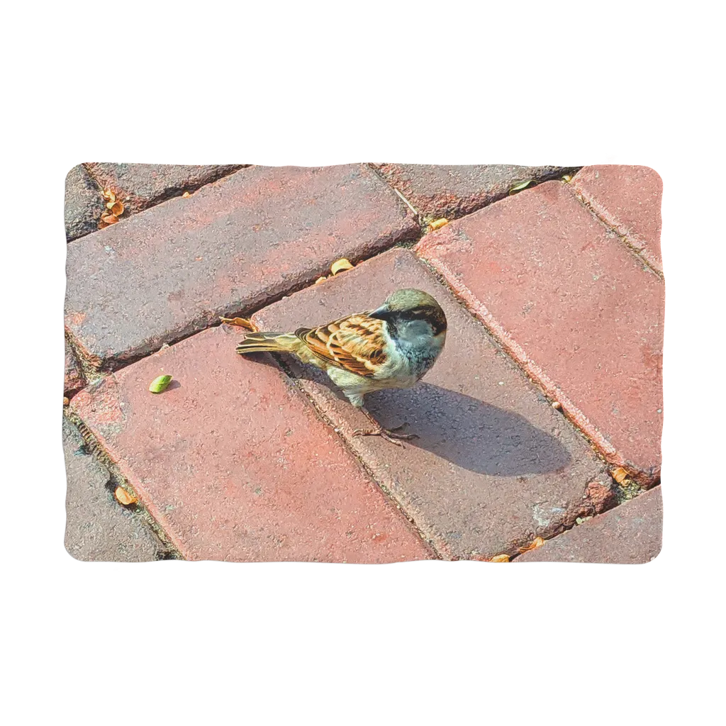 Bird Sublimation Pet Blanket
