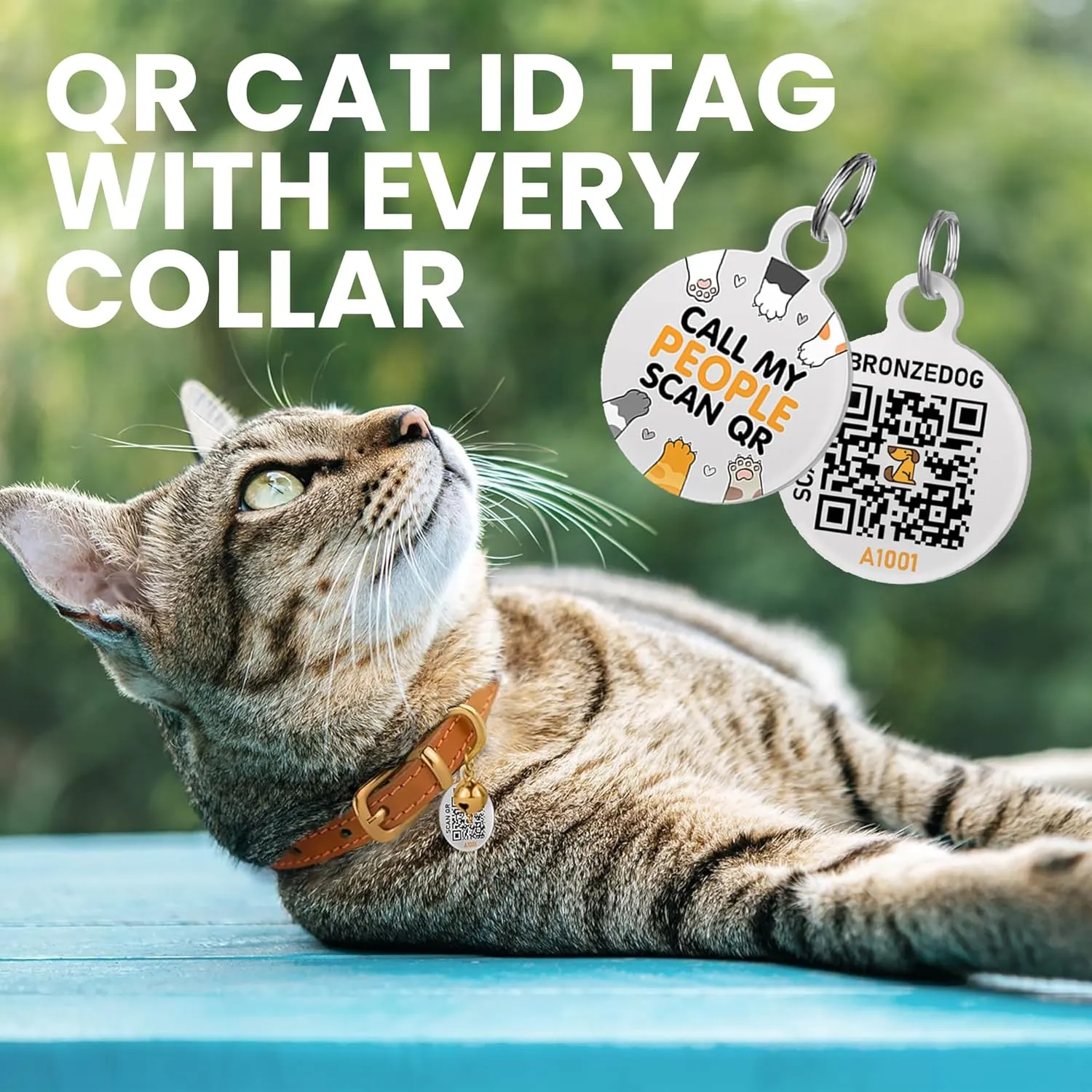 BRONZEDOG Leather Cat Collar with Removable Bells Non Breakaway Kitten QR Tag for Girl Boy (7" - 9" for Cats, Black & Gold)