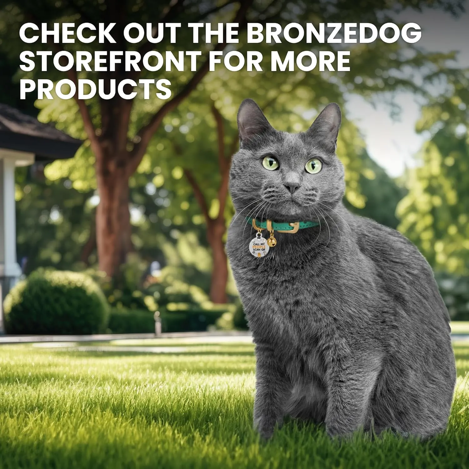 BRONZEDOG Leather Cat Collar with Removable Bells Non Breakaway Kitten QR Tag for Girl Boy (7" - 9" for Cats, Black & Gold)