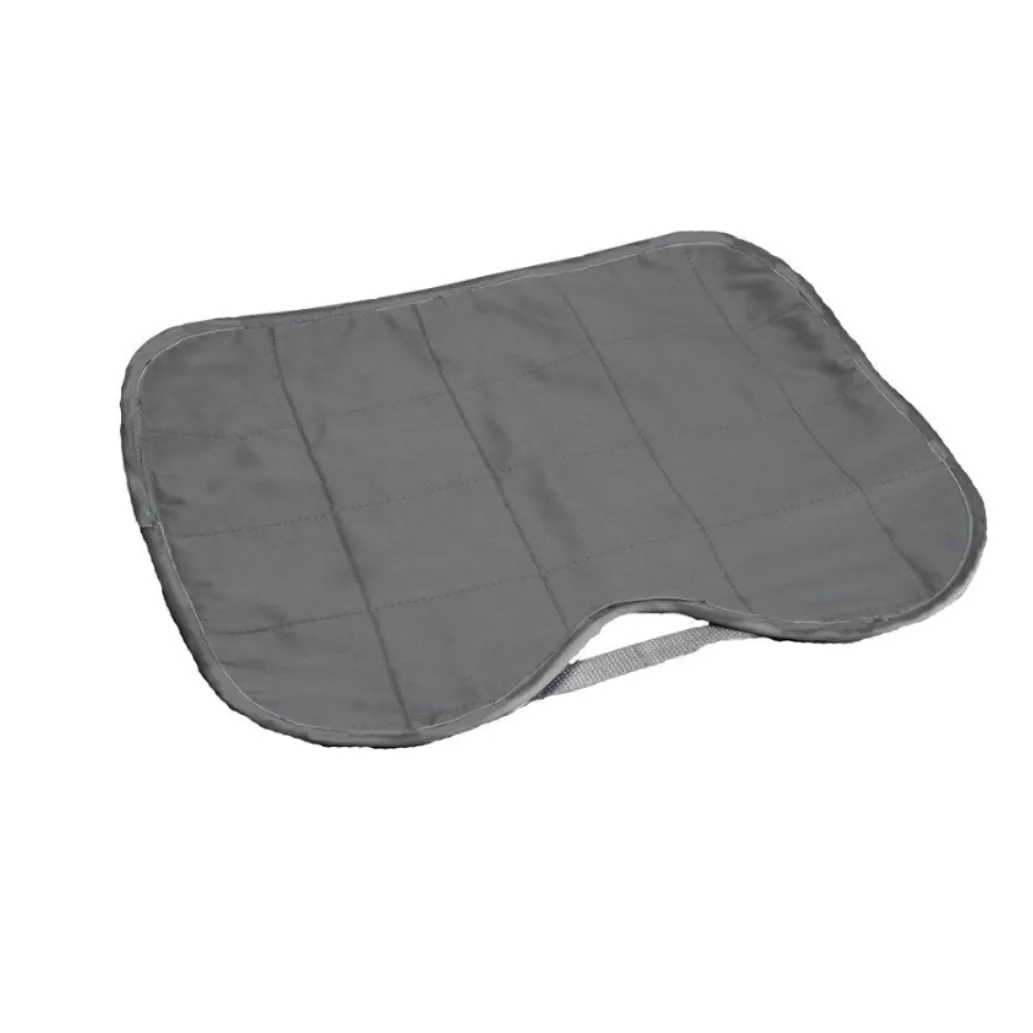 Car Seat Protector