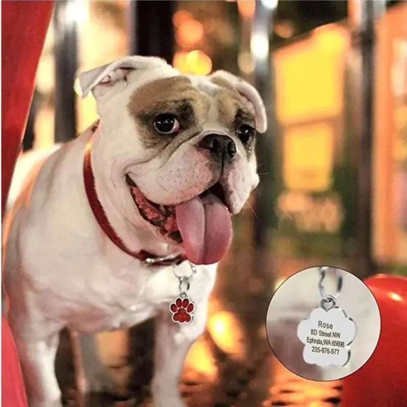 Custom Engraved Stylish Pet ID Tag