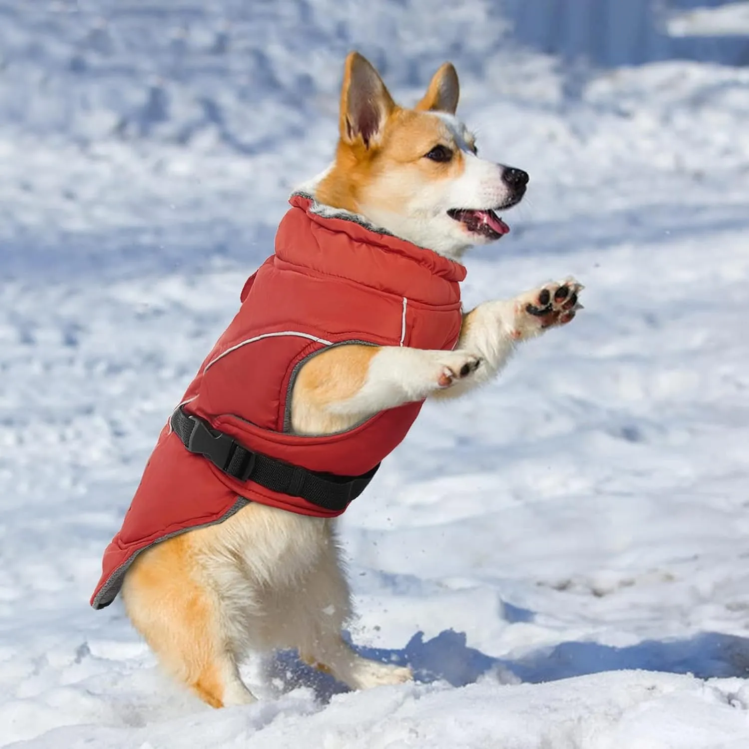 DENTRUN Dog Winter Warm Coat - Windproof Cozy Jacket, Thick Fleece Vest, Water Repellent, Reflective, Small to Large Dogs