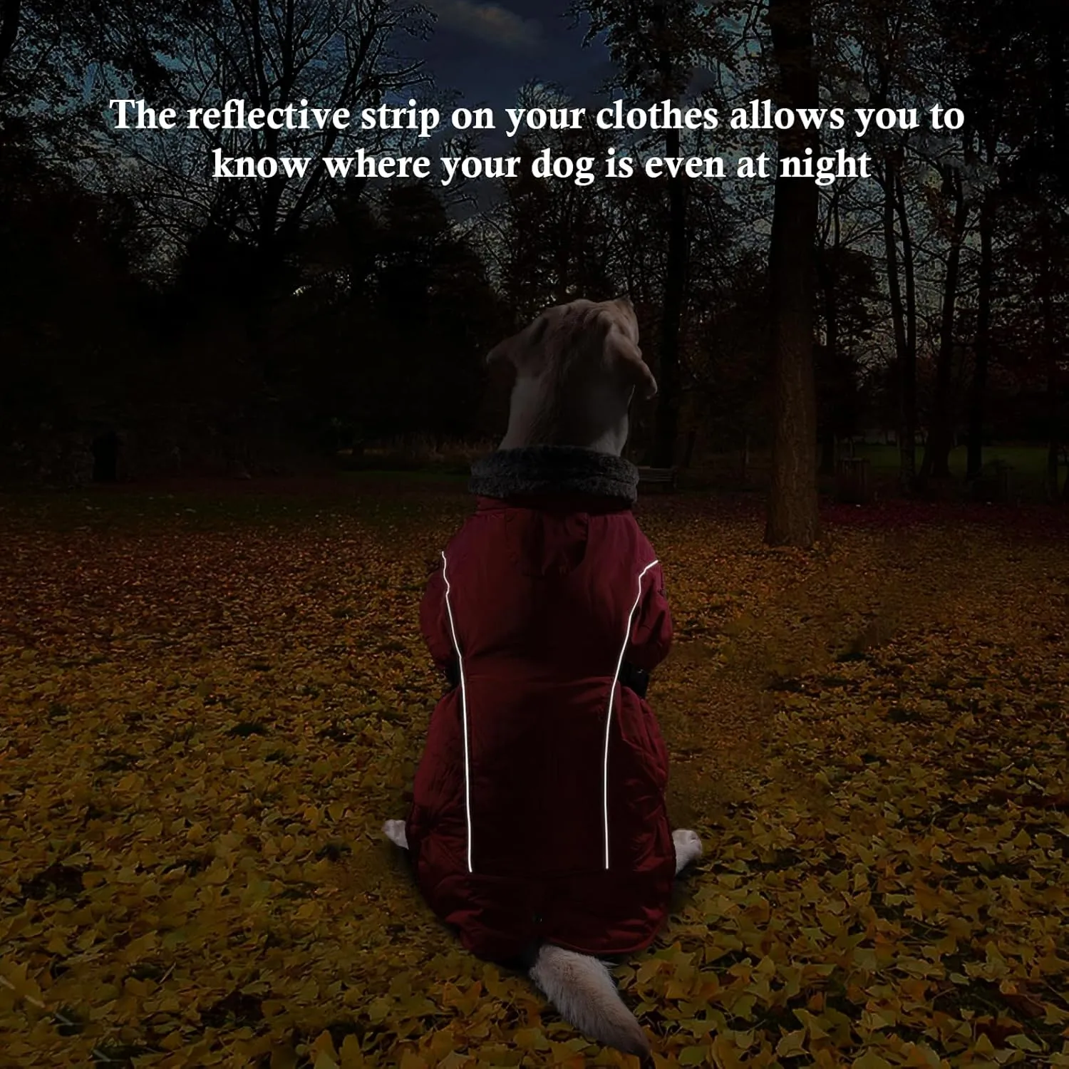 DENTRUN Dog Winter Warm Coat - Windproof Cozy Jacket, Thick Fleece Vest, Water Repellent, Reflective, Small to Large Dogs