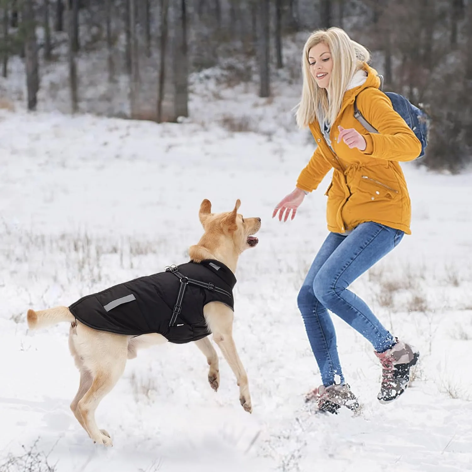 Dog Coat: Warm Dog Jacket Dog Winter Coat - Dog Fleece Jacket with Harness Built in, Dog Cold Weather Coat with Reflective Stripes, Waterproof Dog Vest, Dog Coats for Small Medium Large Dogs Black XL