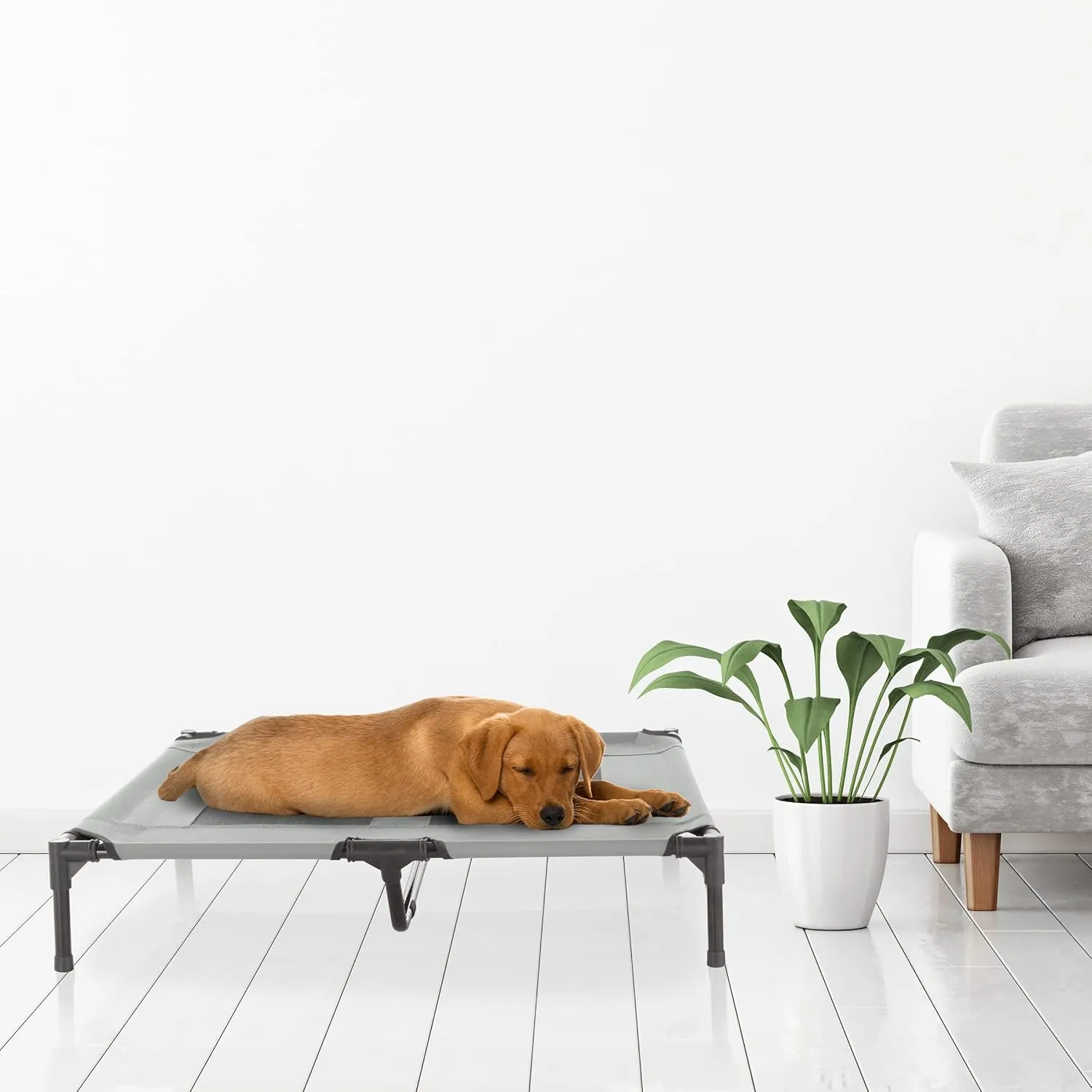 Elevated Dog Bed - 36x29.75-Inch Portable Pet Bed with Non-Slip Feet - Indoor/Outdoor Dog Cot or Puppy Mattress for Pets up to 80lbs by PETMAKER (Gray)