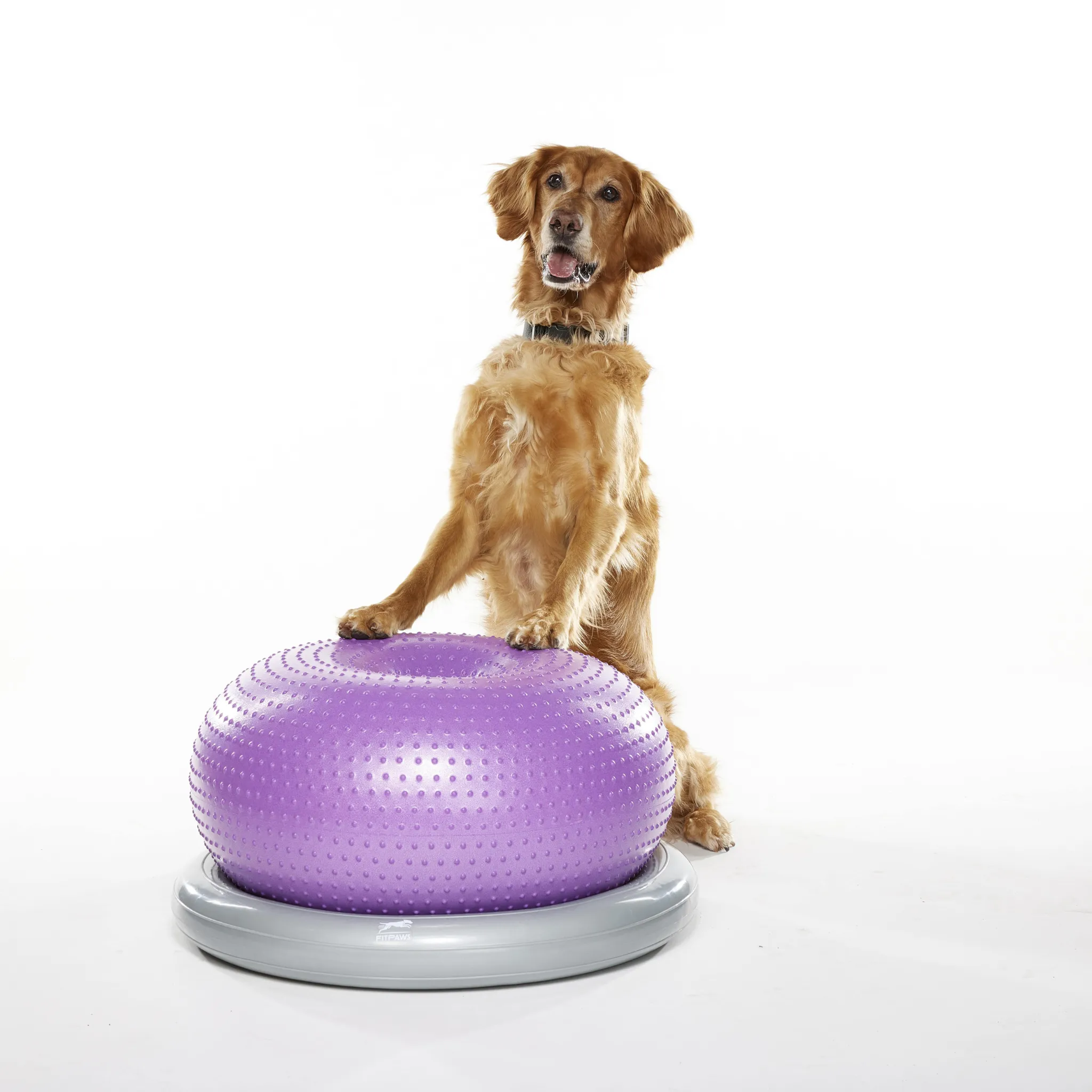 FitPaws Circular Product Holder