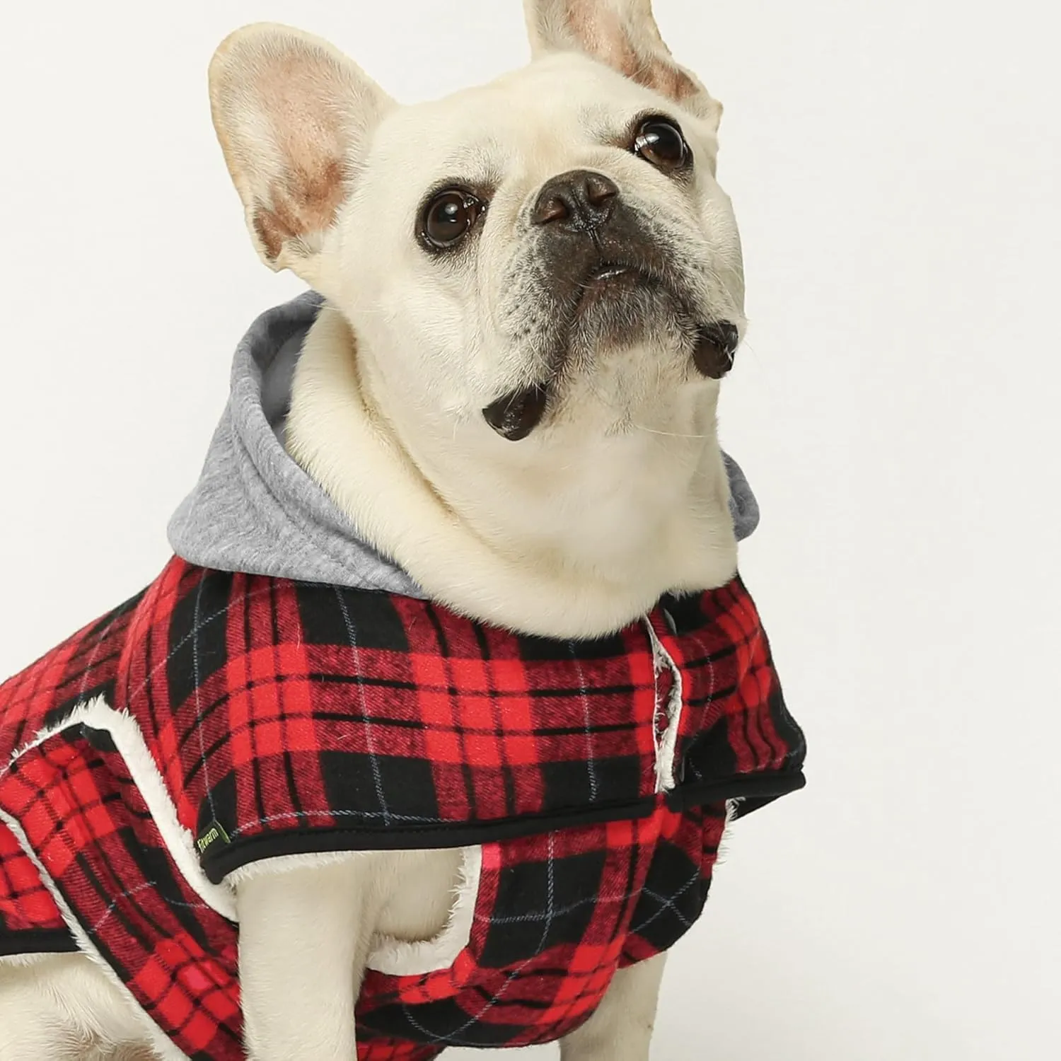 Fitwarm Plaid Dog Winter Coat with Hood, Dog Clothes for Small Dogs Boy Girl, Pet Hoodies, Cat Jacket Apparel, Red, Black, Large