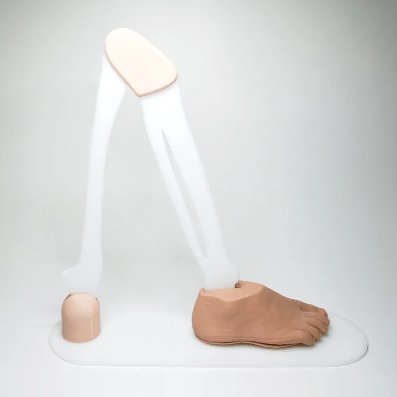 Foot Debridement Trainer