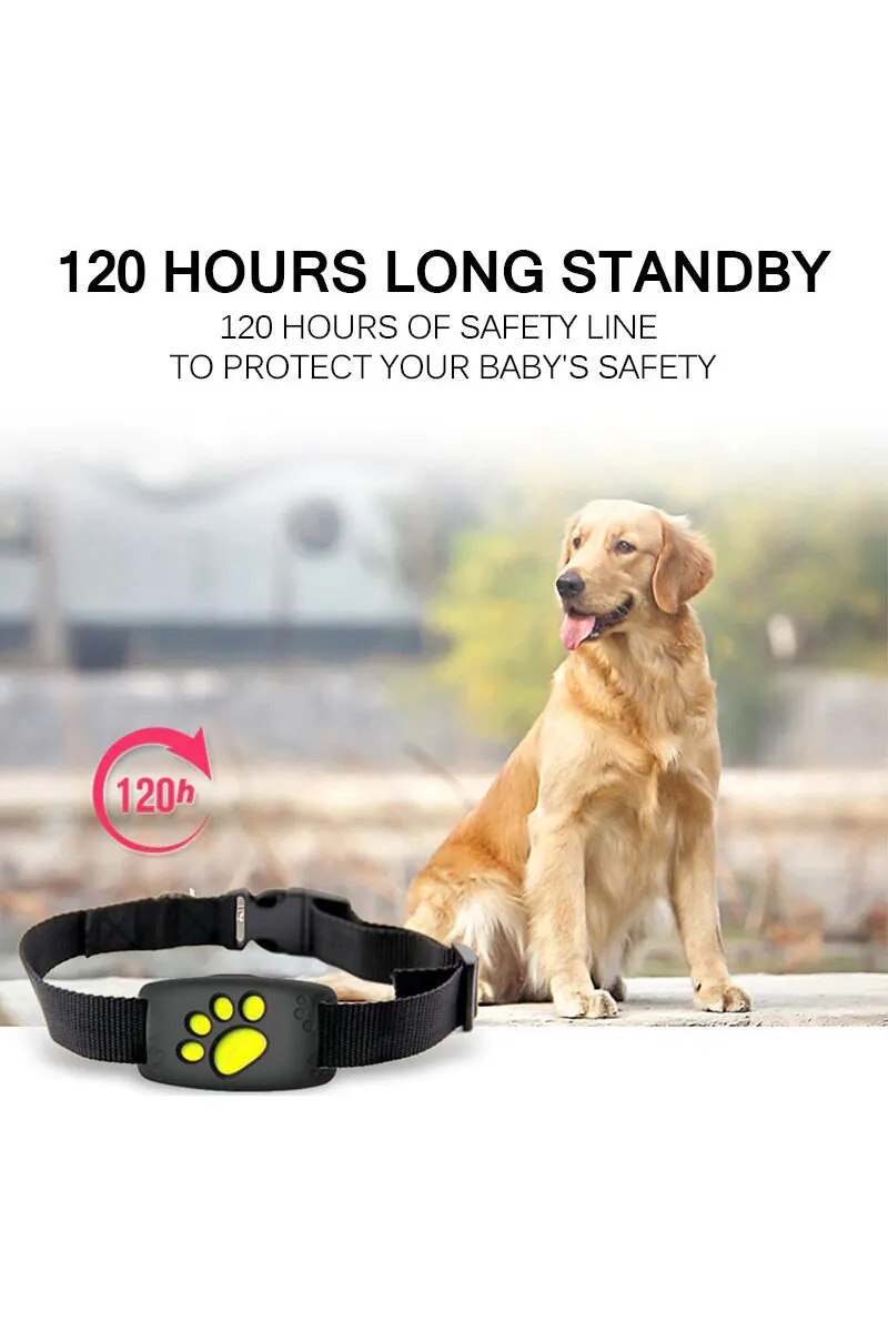 GPS Tracker Collar