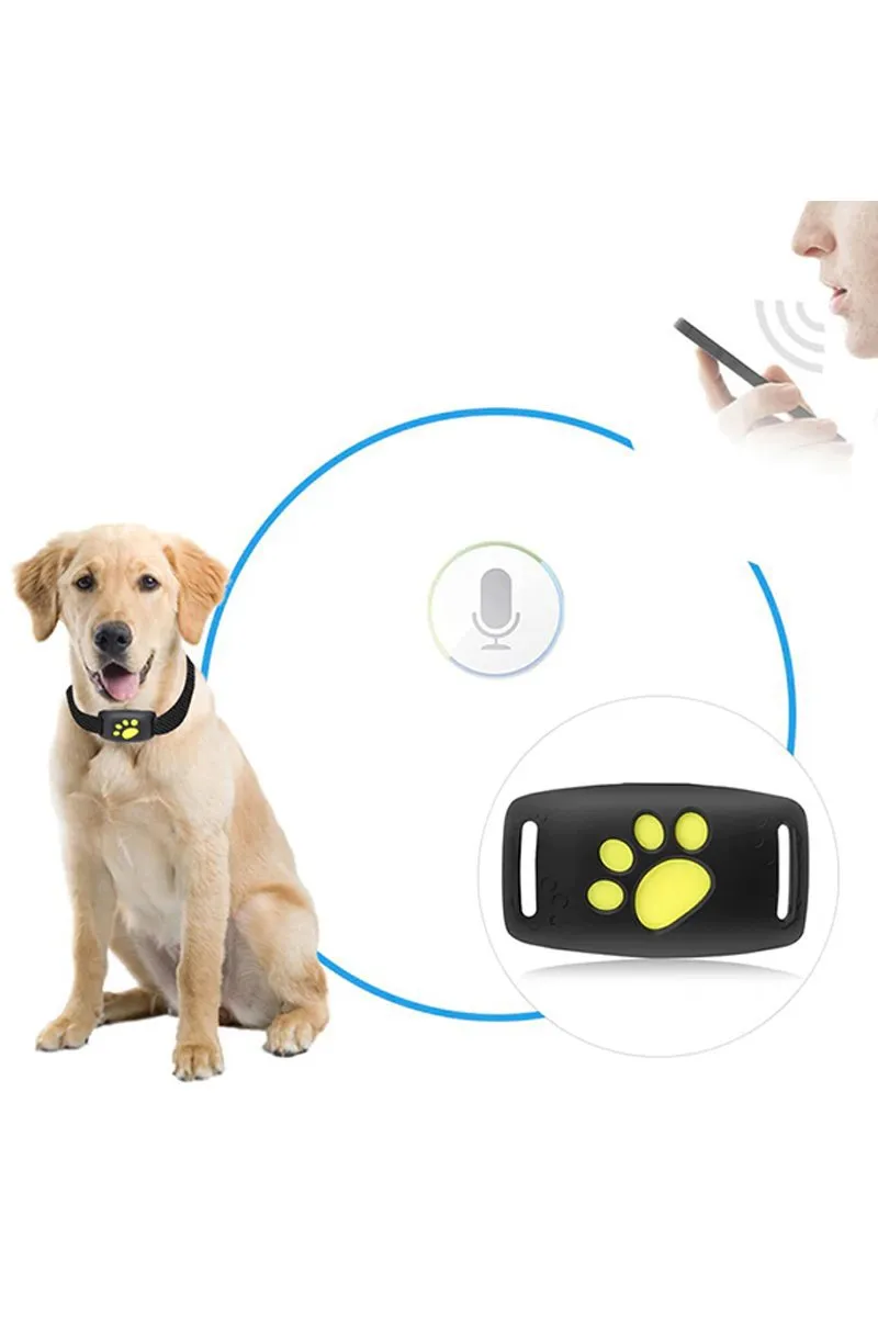 GPS Tracker Collar