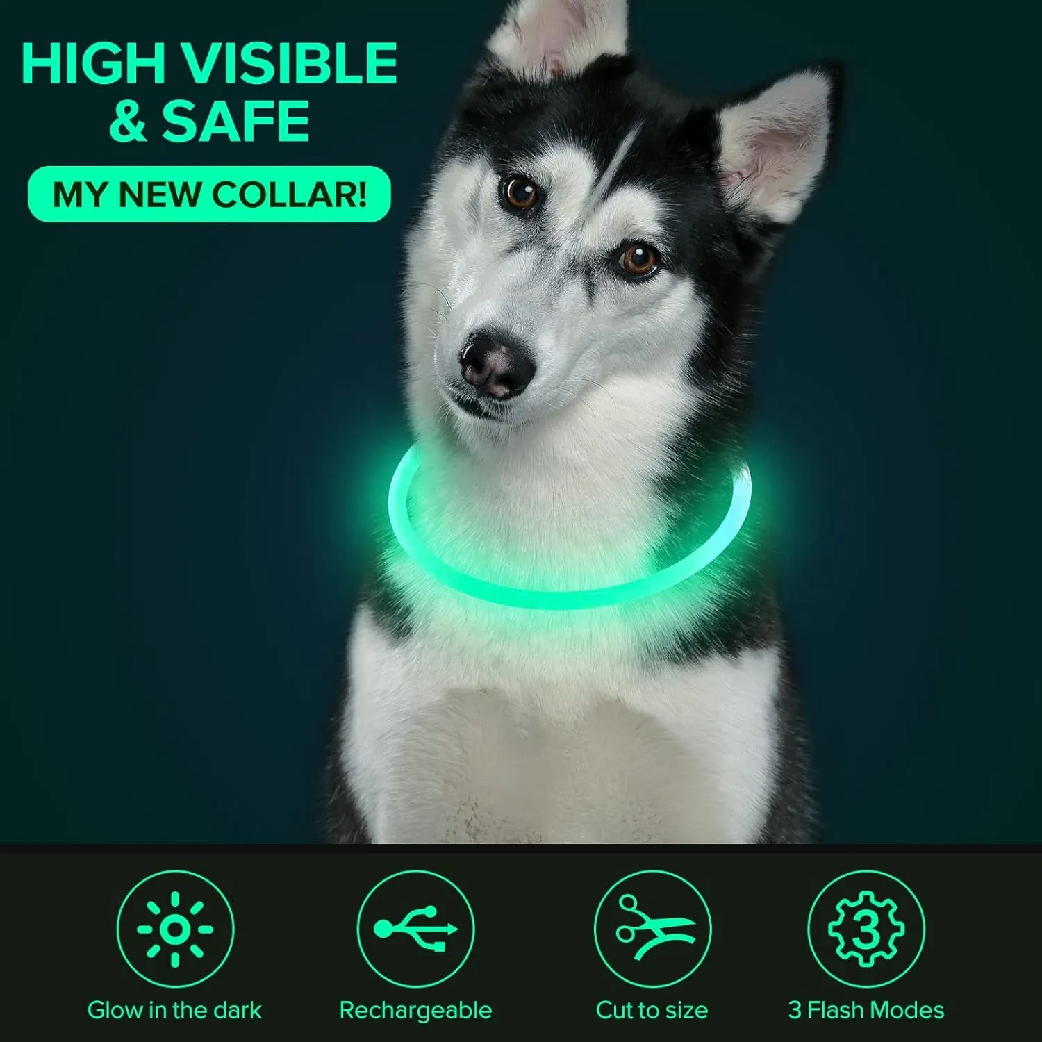 LED Dog Light up Dog Collar