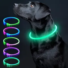 LED Dog Light up Dog Collar