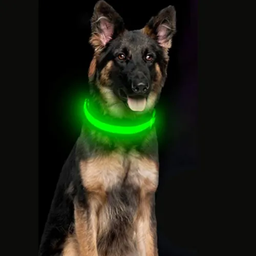 LED Rechargeable Dog Collar