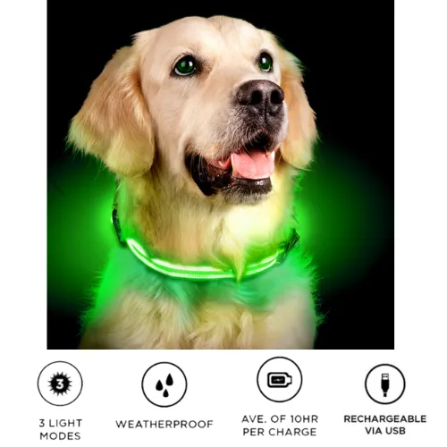 LED Rechargeable Dog Collar