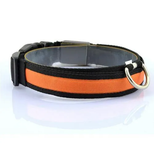 LED Safety Light Collars - For Dogs & Cats