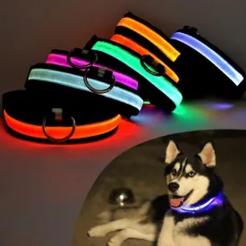 LED Safety Light Collars - For Dogs & Cats
