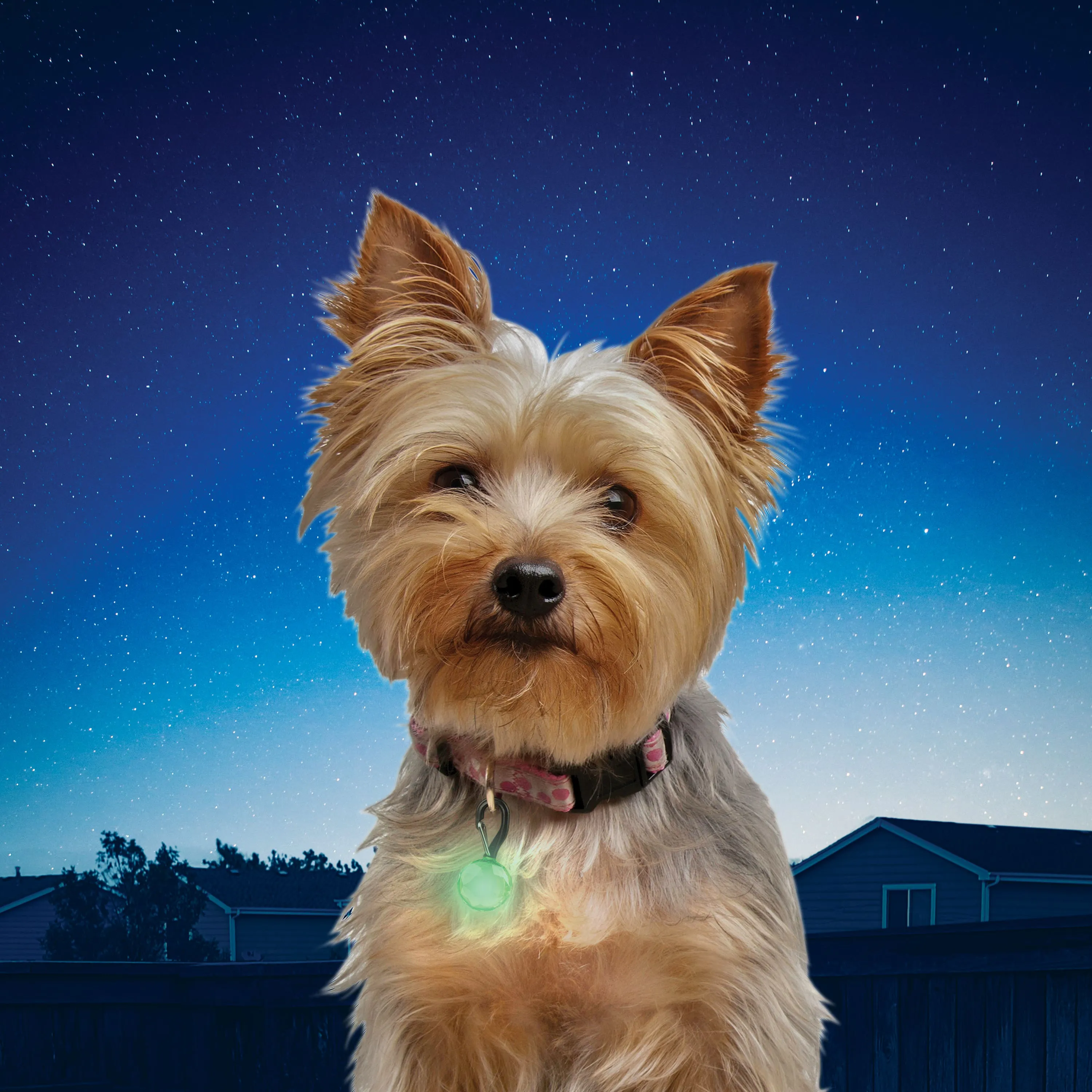 LED spotlit collar light - lime jewel