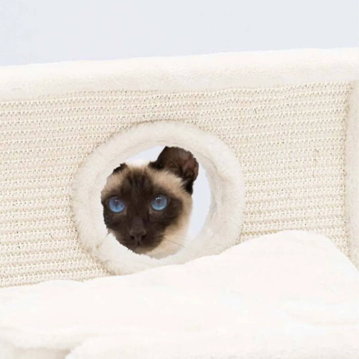 Little Rebels Denver 50cm Cat Bed