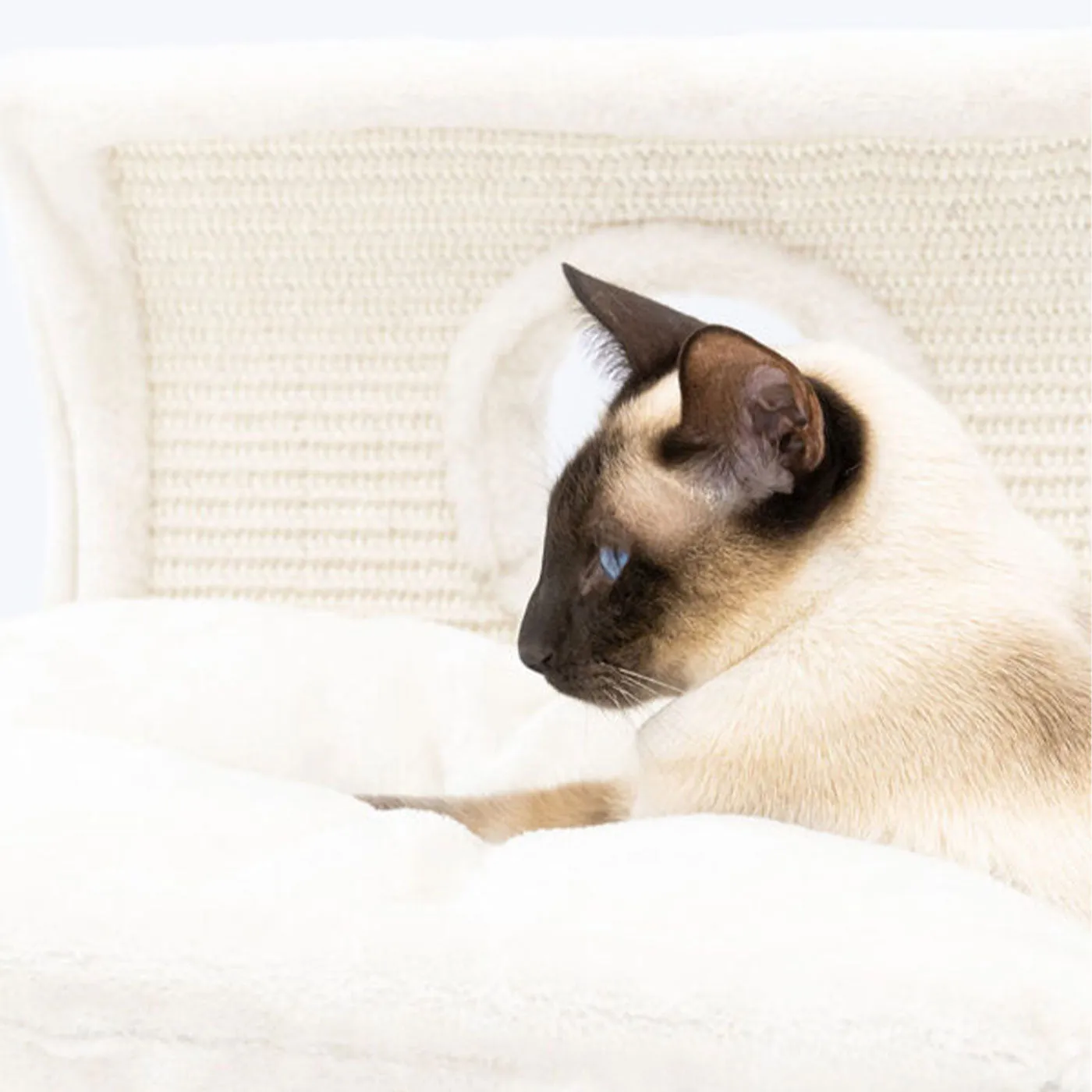 Little Rebels Denver 50cm Cat Bed