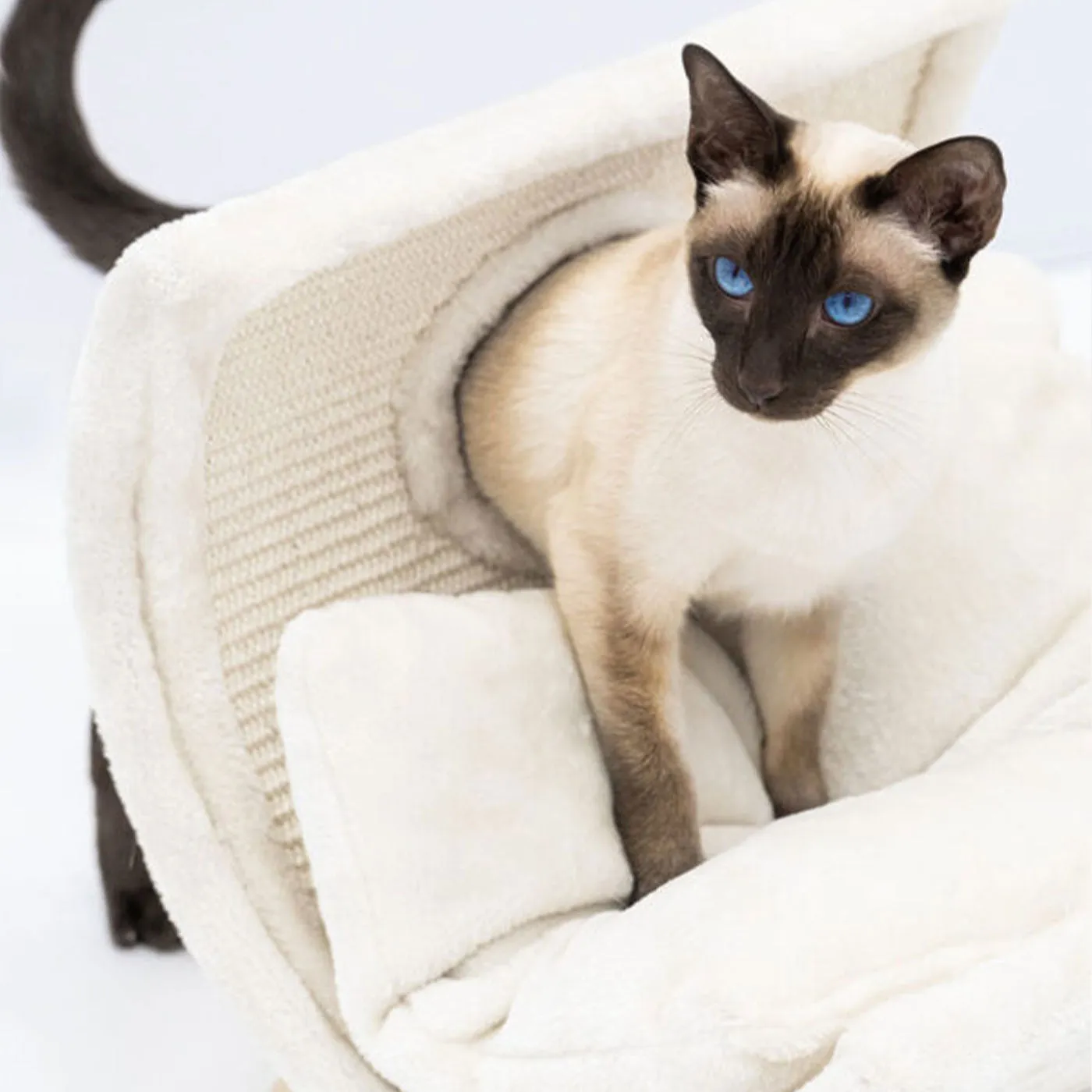 Little Rebels Denver 50cm Cat Bed