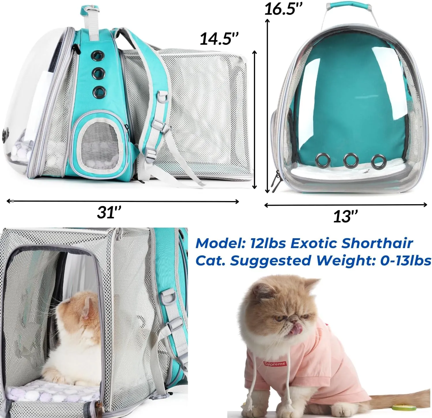Lollimeow Cat Carrier Backpack, Bubble Dual Expandable Backpack Carrier, Pets and Small Dogs,Airline-Approved, Designed for Travel, Hiking, Walking & Outdoor Use (Dual Expandable-Green)