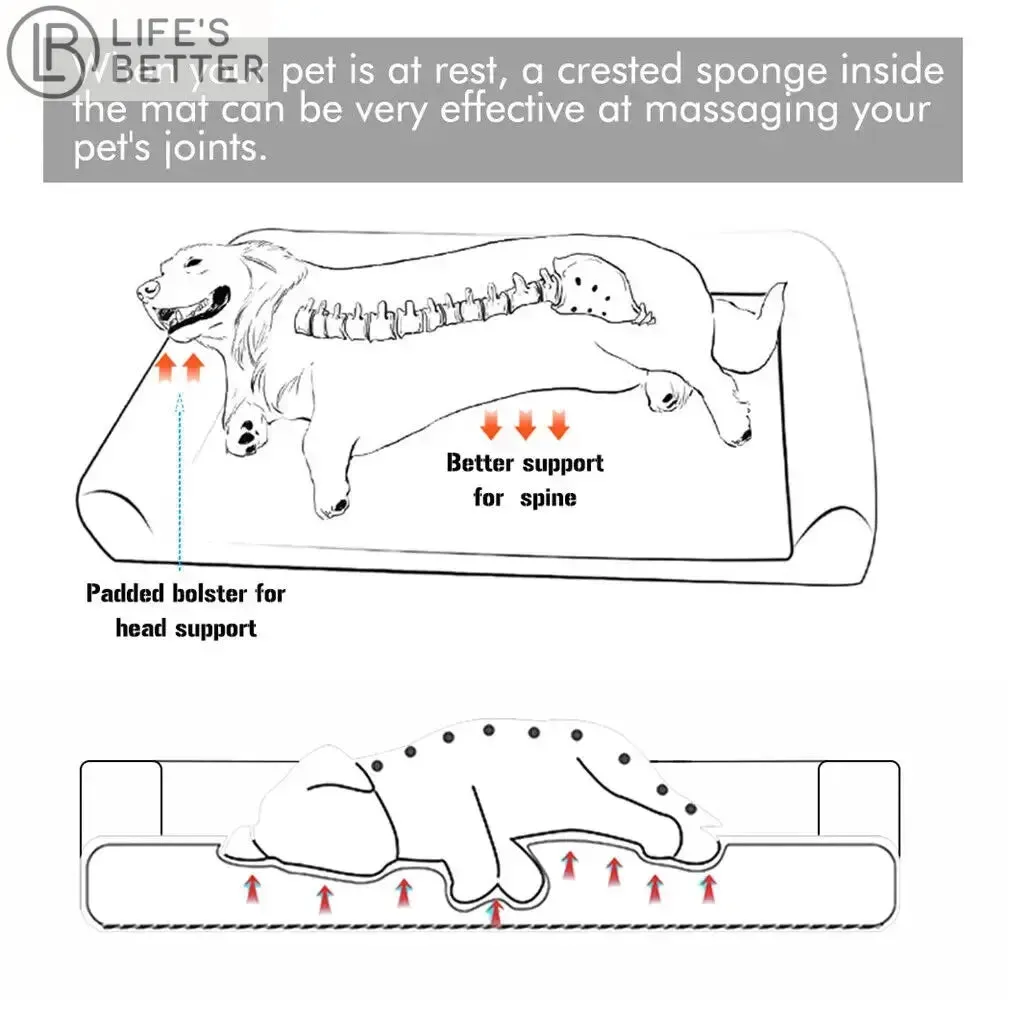 Luxurious Extra Large Orthopedic Soft Sponge Foam Dog Bed