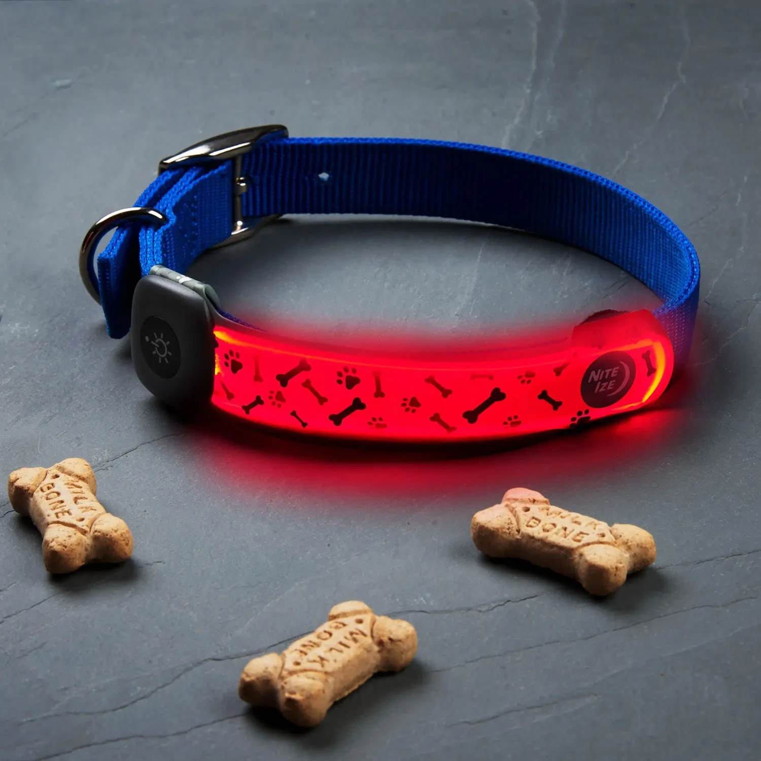 NiteDog Rechargeable LED Collar Cover, Disc-o Select