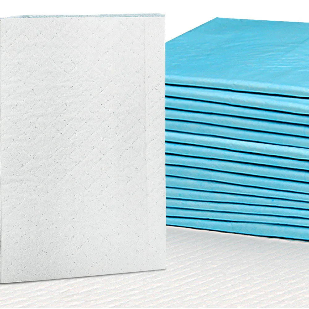 NNEDSZ 400pcs Puppy Dog Pet Training Pads Cat Toilet 60 x 60cm Super Absorbent Indoor Disposable