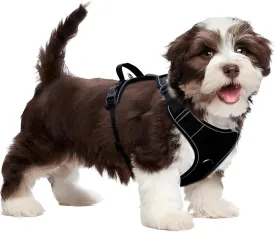 No Pull Harness with Tracker Tag Holder for Small Dogs,Adjustable Escape-Proof, No Choke and Reflective Vest with Handle for Easy Control Comfortable Vest Harness for Training Walking Hiking, Black S