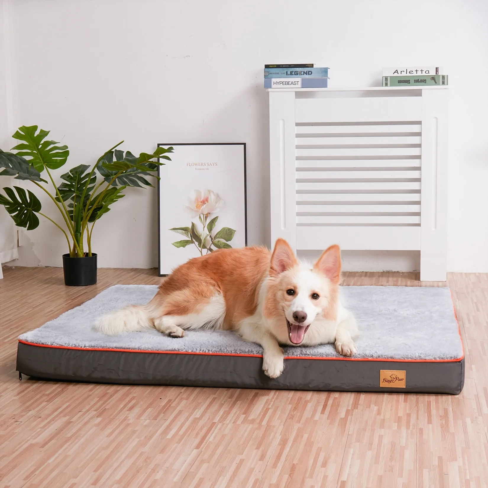 Orthopedic Dog Bed Kennel Memory Foam Waterproof Pet Bed with Removable Washable Cover Nonskid Bottom Joint Relief  XXL and XXXL Only Available FREE SHIPMENT