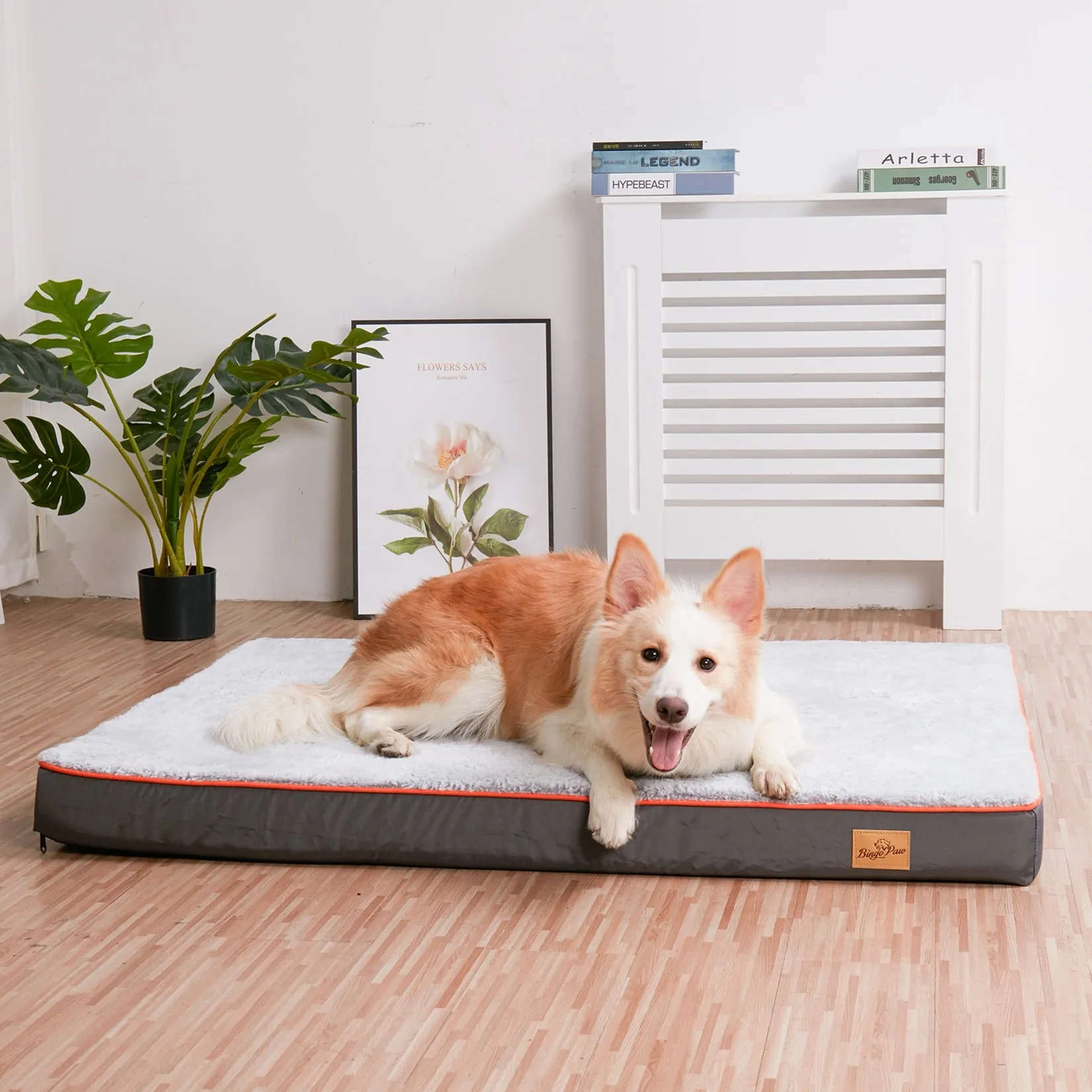 Orthopedic Dog Bed Kennel Memory Foam Waterproof Pet Bed with Removable Washable Cover Nonskid Bottom Joint Relief  XXL and XXXL Only Available FREE SHIPMENT