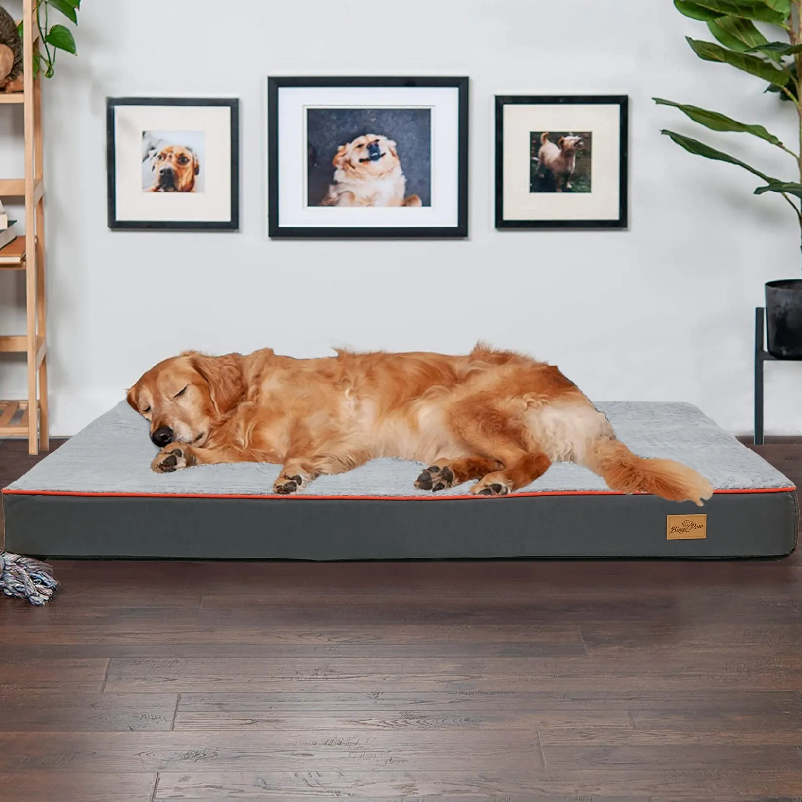 Orthopedic Dog Bed Kennel Memory Foam Waterproof Pet Bed with Removable Washable Cover Nonskid Bottom Joint Relief  XXL and XXXL Only Available FREE SHIPMENT
