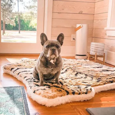 PupRug Tiger Print Memory Foam Dog Bed