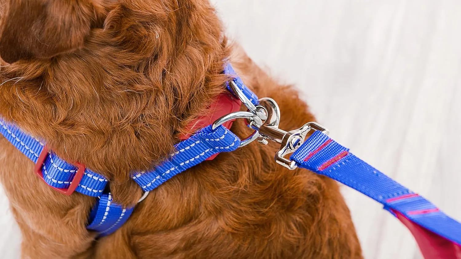 The Dodo Blue Dog Harness - Small; Easy Step-in Harness for Dogs; Breathable Mesh Fabric; Snap-Together, Pinch Release Buckle, Ring for Leash Attachment; Everyday Pet Apparel