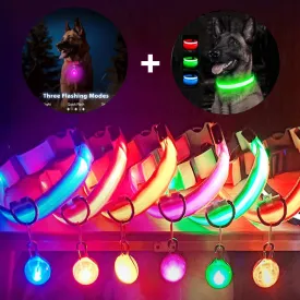 USB Charging LED Dog Collar - Glowing Night Safety for Small Pets