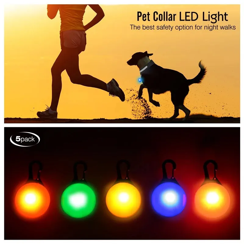 USB Charging LED Dog Collar - Glowing Night Safety for Small Pets