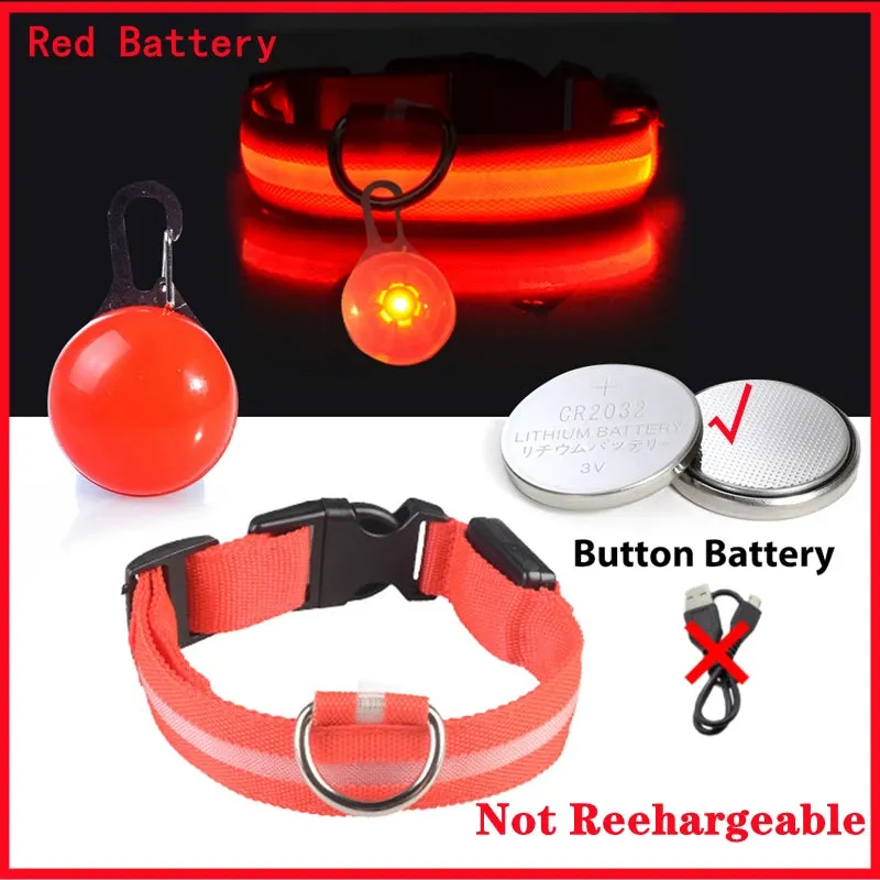 USB Charging LED Dog Collar - Glowing Night Safety for Small Pets