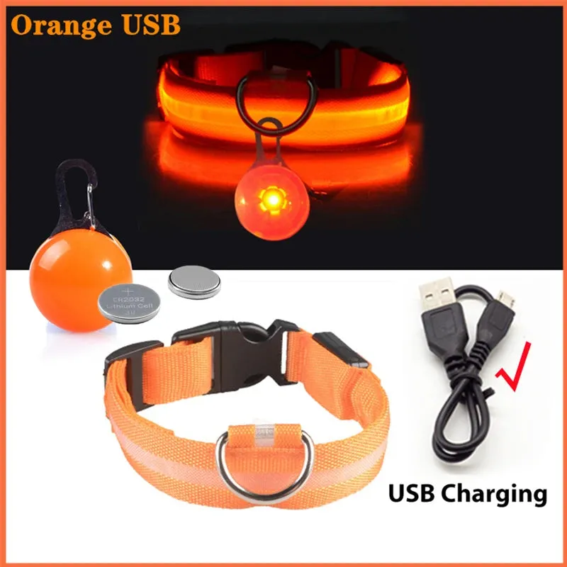 USB Charging LED Dog Collar - Glowing Night Safety for Small Pets