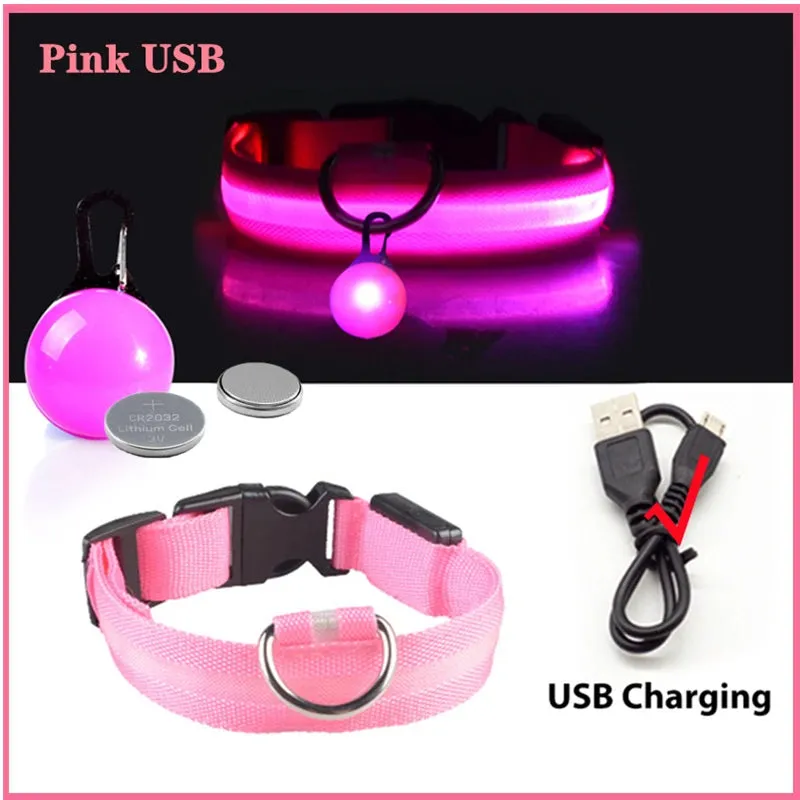 USB Charging LED Dog Collar - Glowing Night Safety for Small Pets