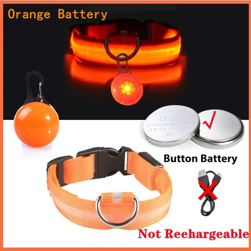 USB Charging LED Dog Collar - Glowing Night Safety for Small Pets
