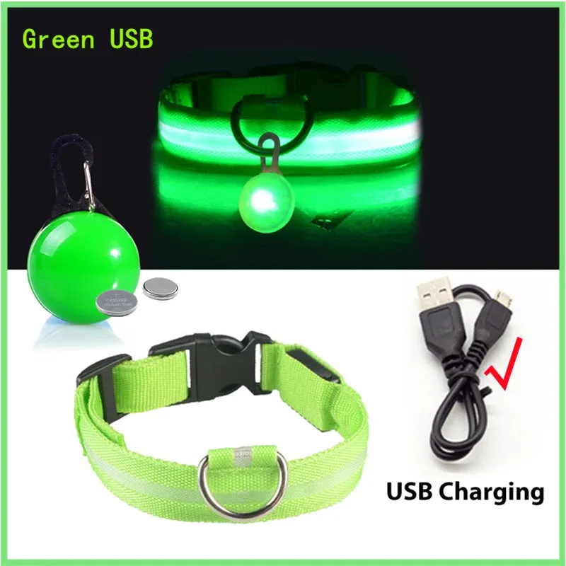 USB Charging LED Dog Collar - Glowing Night Safety for Small Pets
