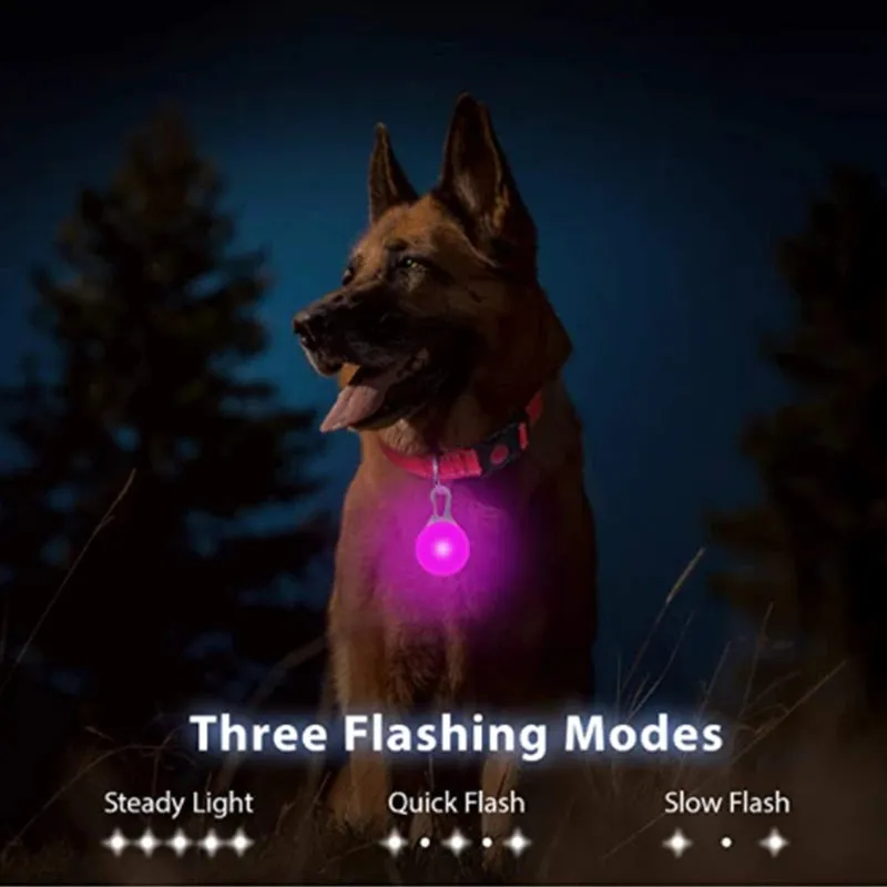 USB Charging LED Dog Collar - Glowing Night Safety for Small Pets